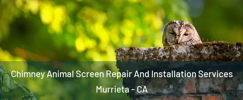 Chimney Animal Screen Repair And Installation Services Murrieta - CA