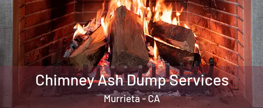 Chimney Ash Dump Services Murrieta - CA