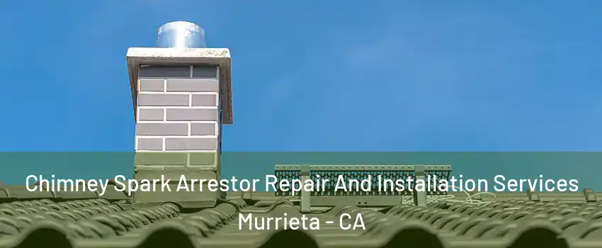 Chimney Spark Arrestor Repair And Installation Services Murrieta - CA