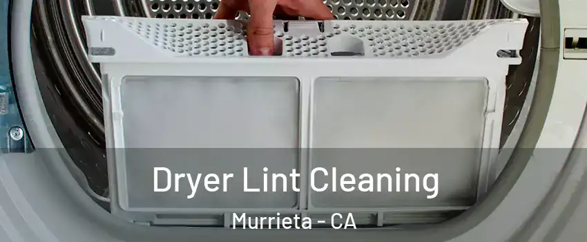 Dryer Lint Cleaning Murrieta - CA