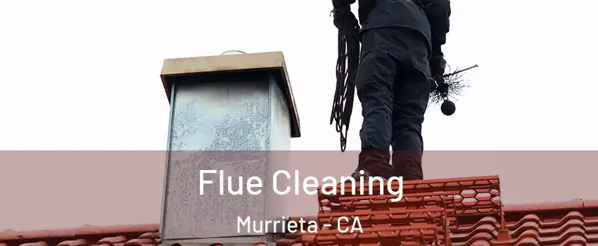 Flue Cleaning Murrieta - CA