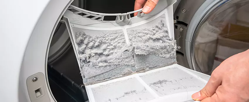 Best Dryer Lint Removal Company in Murrieta, California