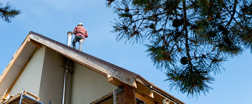 Birds Removal Contractors from Chimney in Murrieta, CA