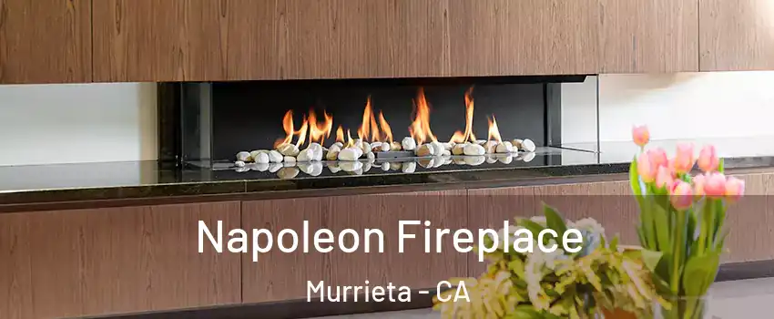 Napoleon Fireplace Murrieta - CA